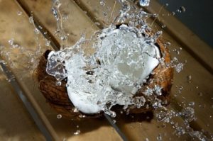 coconut